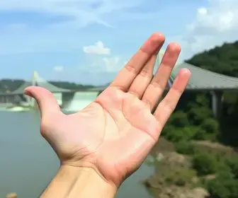 biometria pela palma da mão